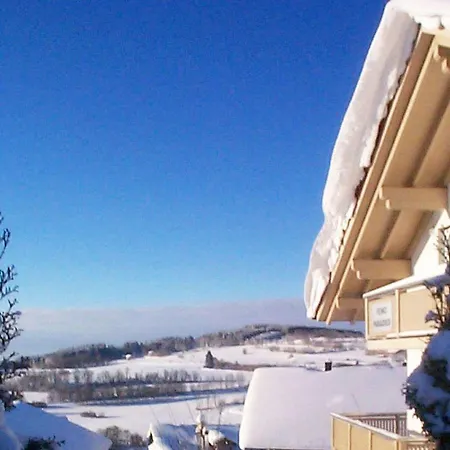 Haus Paradies Superior Fewo's Loft, Terrasse, Private Sauna, Aktiv Card, *