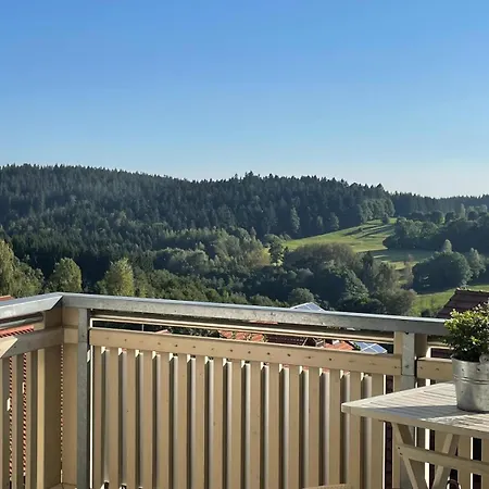 Haus Paradies Superior Fewo's Loft, Terrasse, Private Sauna, Aktiv Card, Apartment *